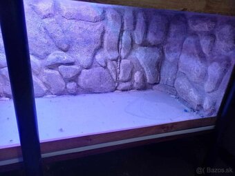2x veľké TERÁRIUM (340L a 230L) + STOJAN - 9
