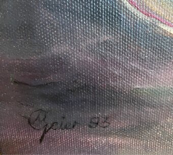 Staré krásné obrazy 2 kusy - 9