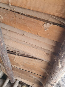 Stiepane sindle 100 rocne - 9