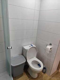 Prenájom 1 - izbového bytu na Ľadovni - 9