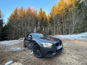 BMW xDrive F20 120d - 9