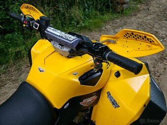 CAN AM RENEGADE 800 - 9