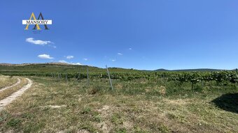 Na predaj vínny dom s vinicami a vínnymi pivnicami 13974 m2 - 9