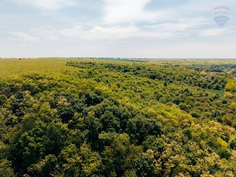 Investičný pozemok Báb 2541 m2 - 9