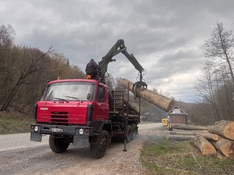 TATRA 815 LESOVOZ - 9