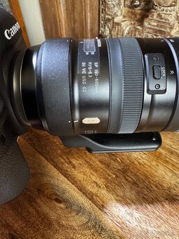 Canon EOS 5D Mark IV + Tamron for Canon SP 150-600 mm F/5-6. - 9
