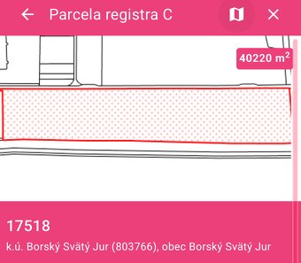 Predaj investičného pozemku v k.ú. Borský sv. Jur. - 9