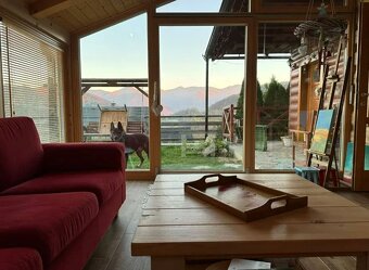 Dám do prenájmu dom (chatu) pri Terchovej - 9