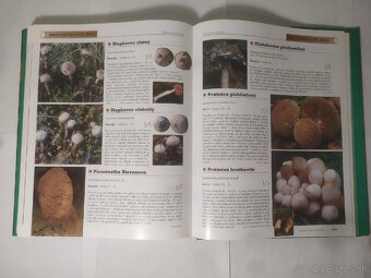 Veľký atlas húb - 9