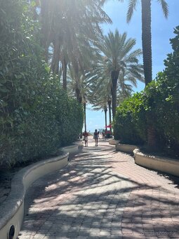 Byty v MIAMI BEACH za prijateľné ceny - 9