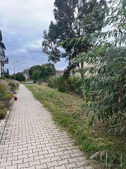 Kosenie a mulčovanie Trnava - 9