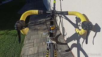 Cestný bicykel Dema alvito - 9
