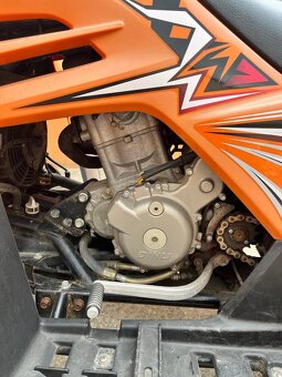 Dinli 450 cc + Campell 650 cc - 9