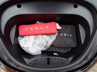 Tesla Model 3 2021 Standard Range Plus 239 kW - 9