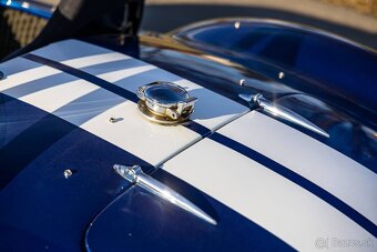 AC Cobra 427 Pilgrim - 9