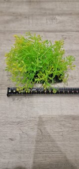 Filter a dekorácia do akvária - 9