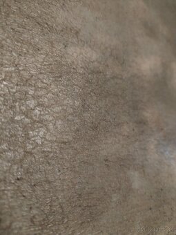 Obraz v krásnom ráme - 9