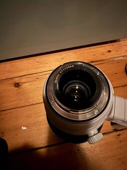 Canon 100-400mm f/4.5-5.6 L IS USM II - 9