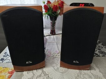 Bluetooth SAL štúdiové aktívne reprobedne - 9