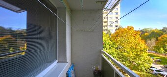 PNORF – 3i byt po rekonštrukcii s loggiou, Čajkovského ul. - 9