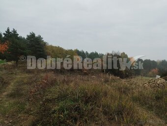 PREDAJ: Pozemok pre rodinný dom na Peknom vŕšku, 752 m2, Bad - 9