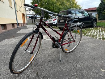 Author bicykel - 9