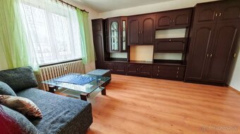 FINREA│1 izbový byt na prenájom - Istebné - 9