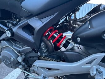 Ducati Monster 1100 Termignoni - 9
