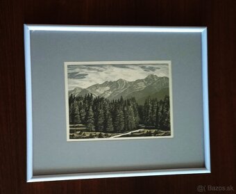 Karel Vik, drevoryty 6 - 9