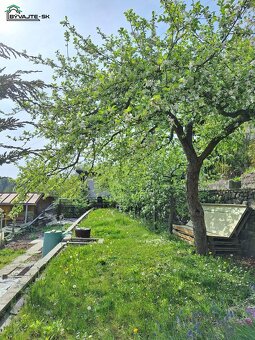 Záhrada s chatkou v záhradkárskej osade 600 ročnice v Prievi - 9