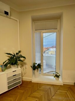 Zaujímavý priestor priamo v centre mesta - 9