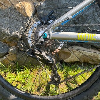 Whip 50 – Dirt Series Geometry - 9