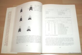 Diviačia zver - 9