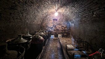 Viničný domček na predaj, 1368 m2, Vráble - Dyčka - 9