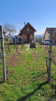 Vinica 608 m² s viničnou chatkou v obci Jelenec, okres Nitra - 9