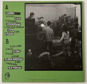 Predam vinylove LP punk platne - 9