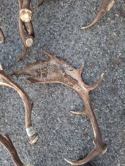 Parohy,zhody,trofeje - 9