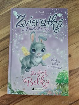 Séria Zvieratká z kúzelného lesa 6 ks - 9