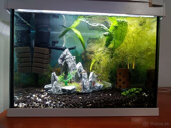 Akvárium ryby krevety filter teplomer dekorácie - 9