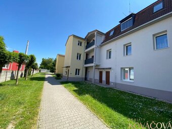 Na prenájom zrekonšt. 2 izb. byt, Trenčín, pri OC Max - 9