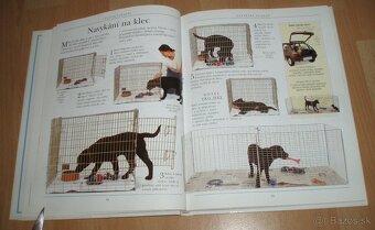 Výchova a výcvik psa - 9