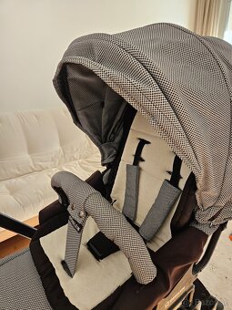 Vanicka Fusak Kocar Gesslein - 9