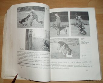 Pes a jeho výcvik - 9
