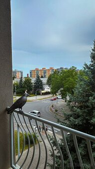 Ubytovanie Hutník Sereď - 9