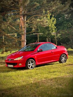 Peugeot 206CC - 9