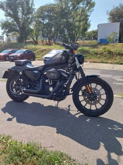 Harley Davidson Sportster Iron 883 - 9