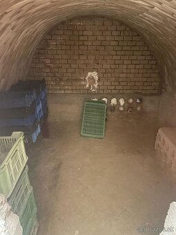 🌿 Štýlová chata v Holíči – ideálne miesto na oddych aj inve - 9
