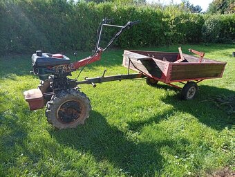 Vari terra - 9