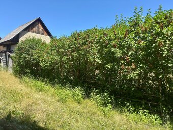 Predám dom v krásnej obci Východná - 9