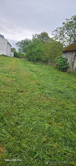 Vyrub a orez stromov - 9